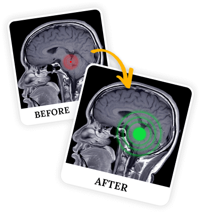 The-Wealth-Signal-reviews